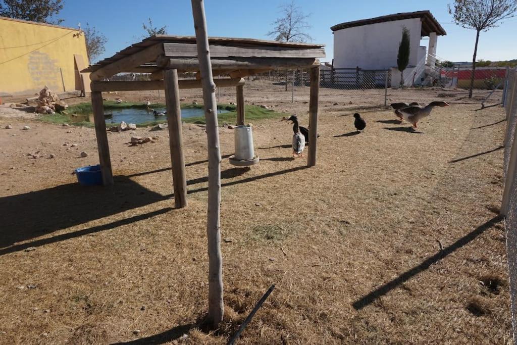 Finca La Caprichosa De Dancos Lillo Eksteriør bilde